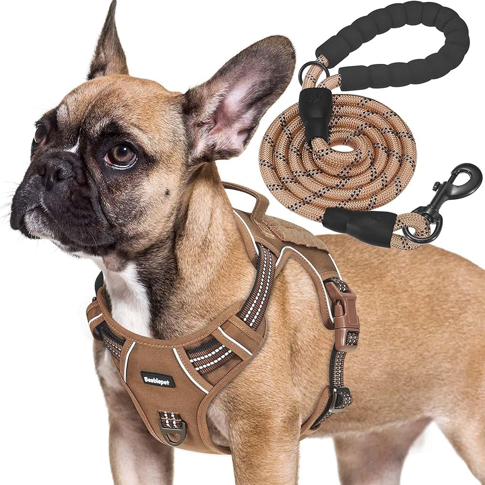 Beeblepet Tan Dog Harness